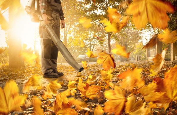 Leaf Blowing Service in Nokomis