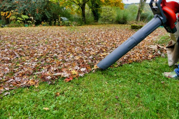Leaf Vacuuming Service in Nokomis