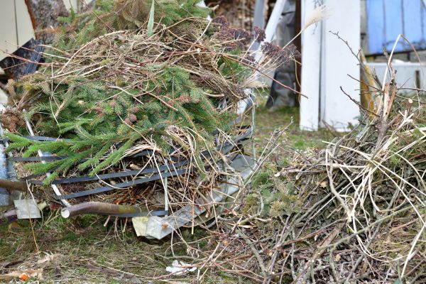 Yard Debris Removal in Nokomis