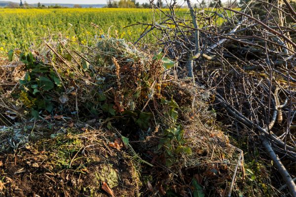 Brush Disposal in Nokomis