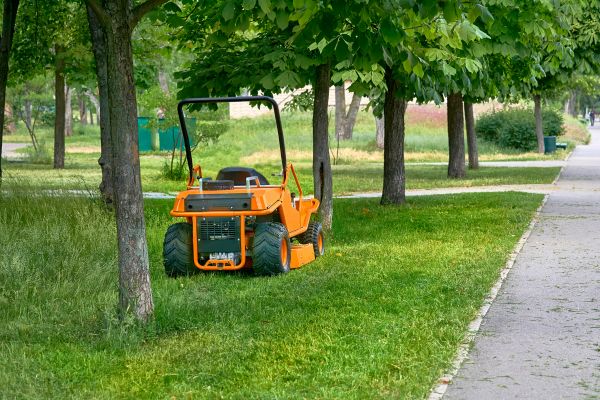 Landscaping Cleanup Service in Nokomis