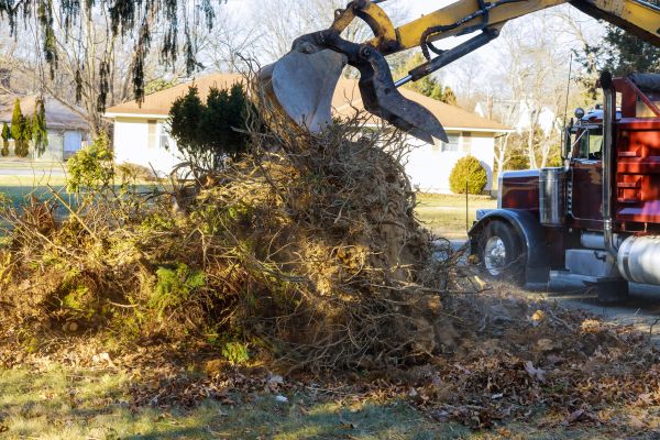 Storm Debris Removal in Nokomis