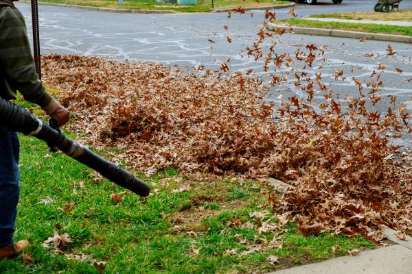 Garden Leaf Removal in Nokomis
