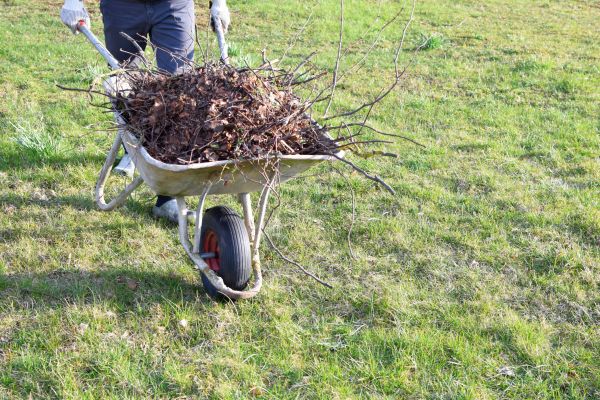 Yard Brush Removal in Nokomis