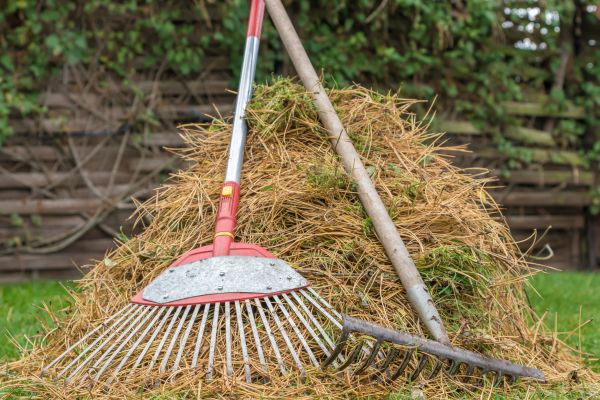 Pine Straw Clearing in Nokomis