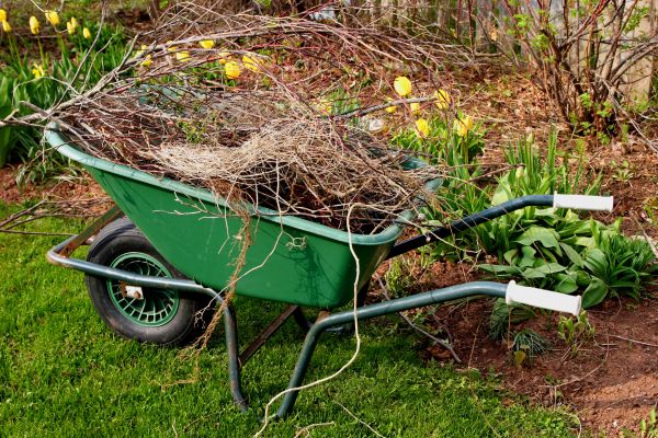 Lawn Waste Removal in Nokomis