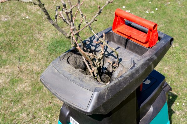 Cost of Brush Cleanup Service in Nokomis