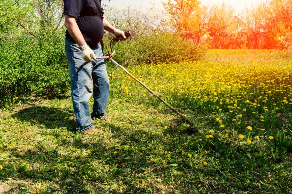 Yard Clearing Service in Nokomis