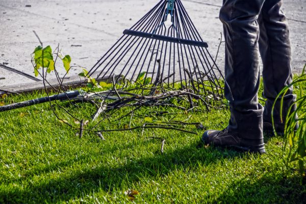 Yard Debris Cleanup in Nokomis