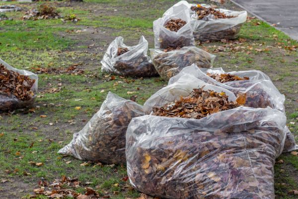 Leaf Pile Disposal in Nokomis