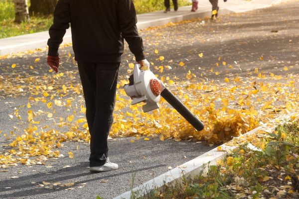 Commercial Leaf Removal in Nokomis