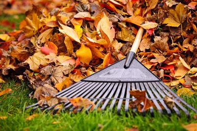 Lawn Care Tools for Fall