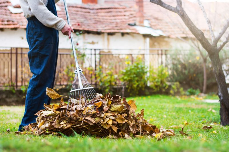 Fall Landscape Maintenance