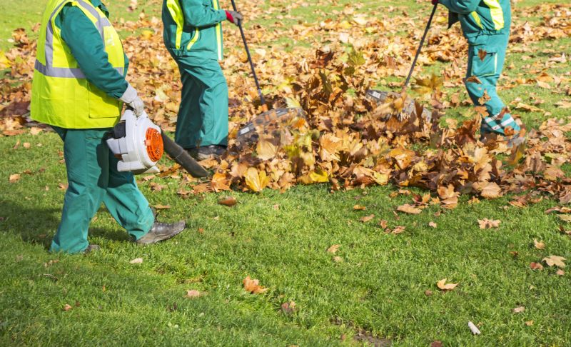 Removing Leaves Safely