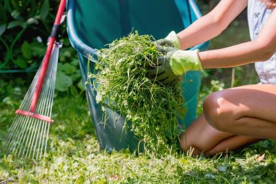 Fall Lawn Cleanup Service detail