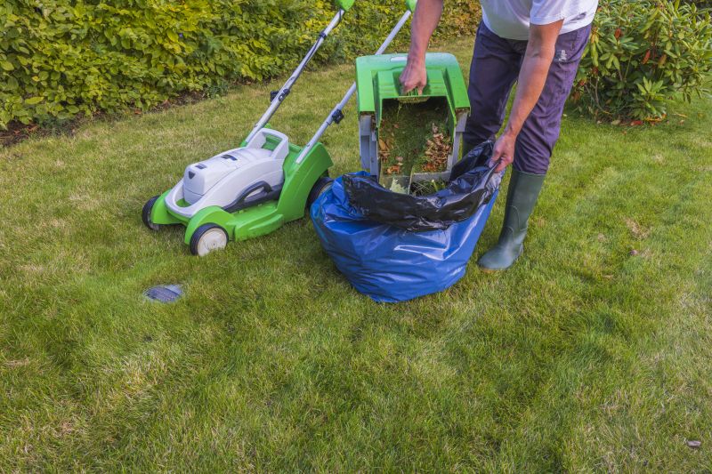 Lawn Cleanup Equipment