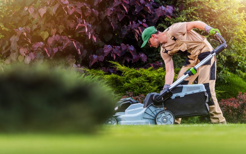 Lawn Maintenance Specialists